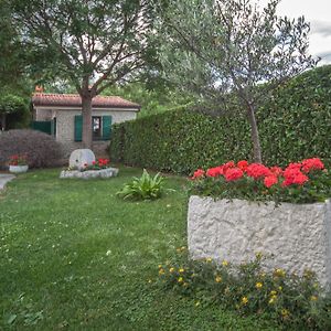 Luxury Apartments Villa Klara